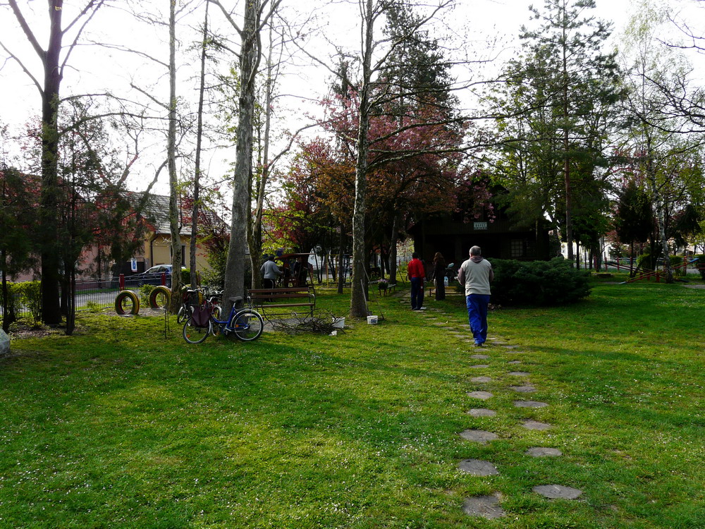 P1110396.jpg