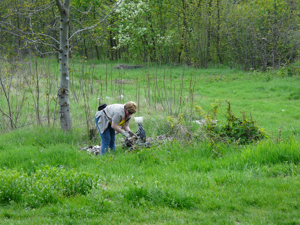 P1110451.jpg